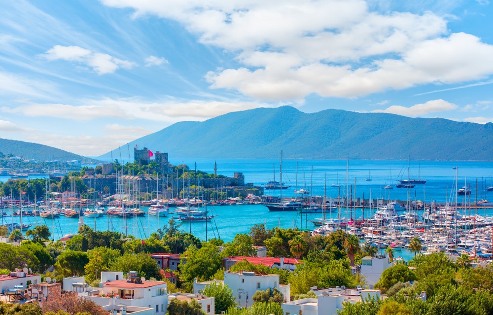 Your Listings are Automatically Published on 27 Real Estate Portals in 25 Countries